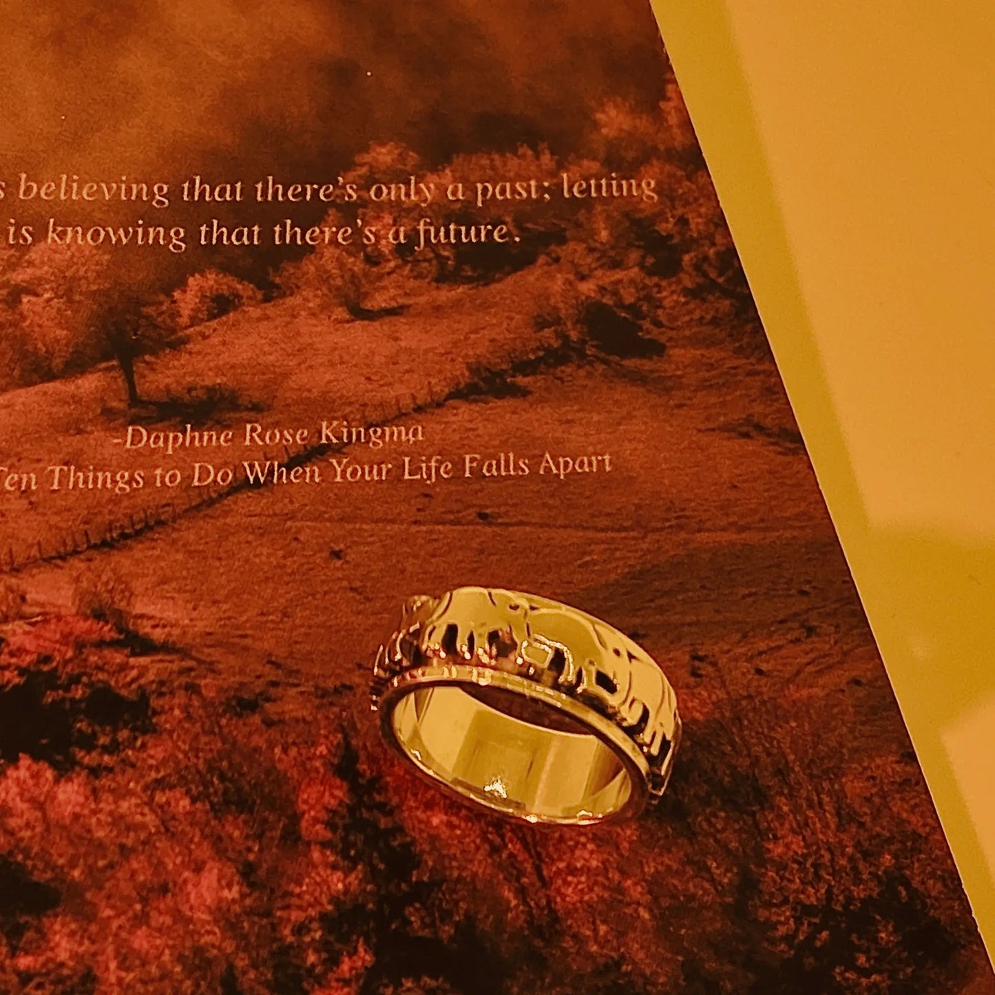 My Little Elephant Spinner Ring in Silver EffortlesslyUs