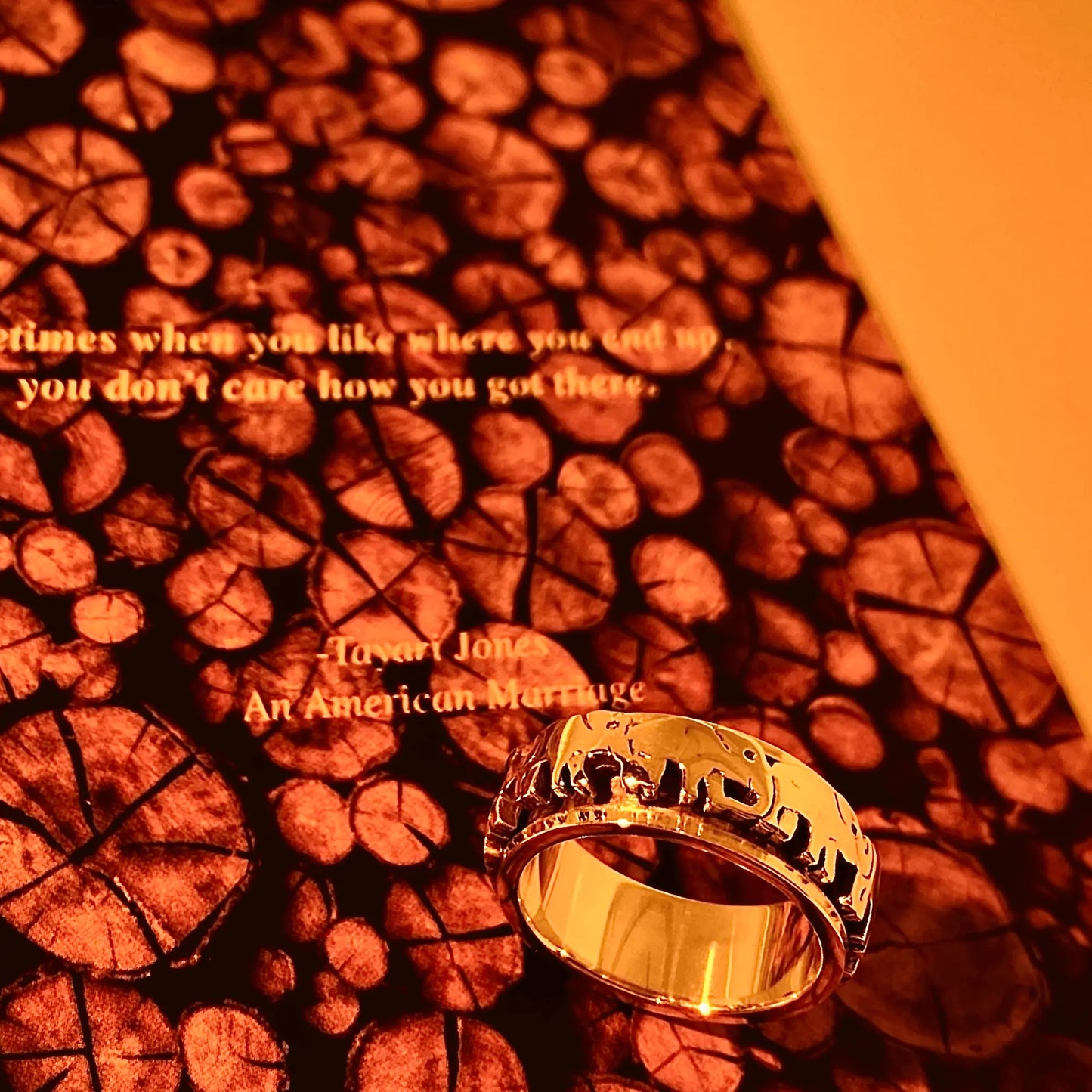 My Little Elephant Spinner Ring in Silver EffortlesslyUs