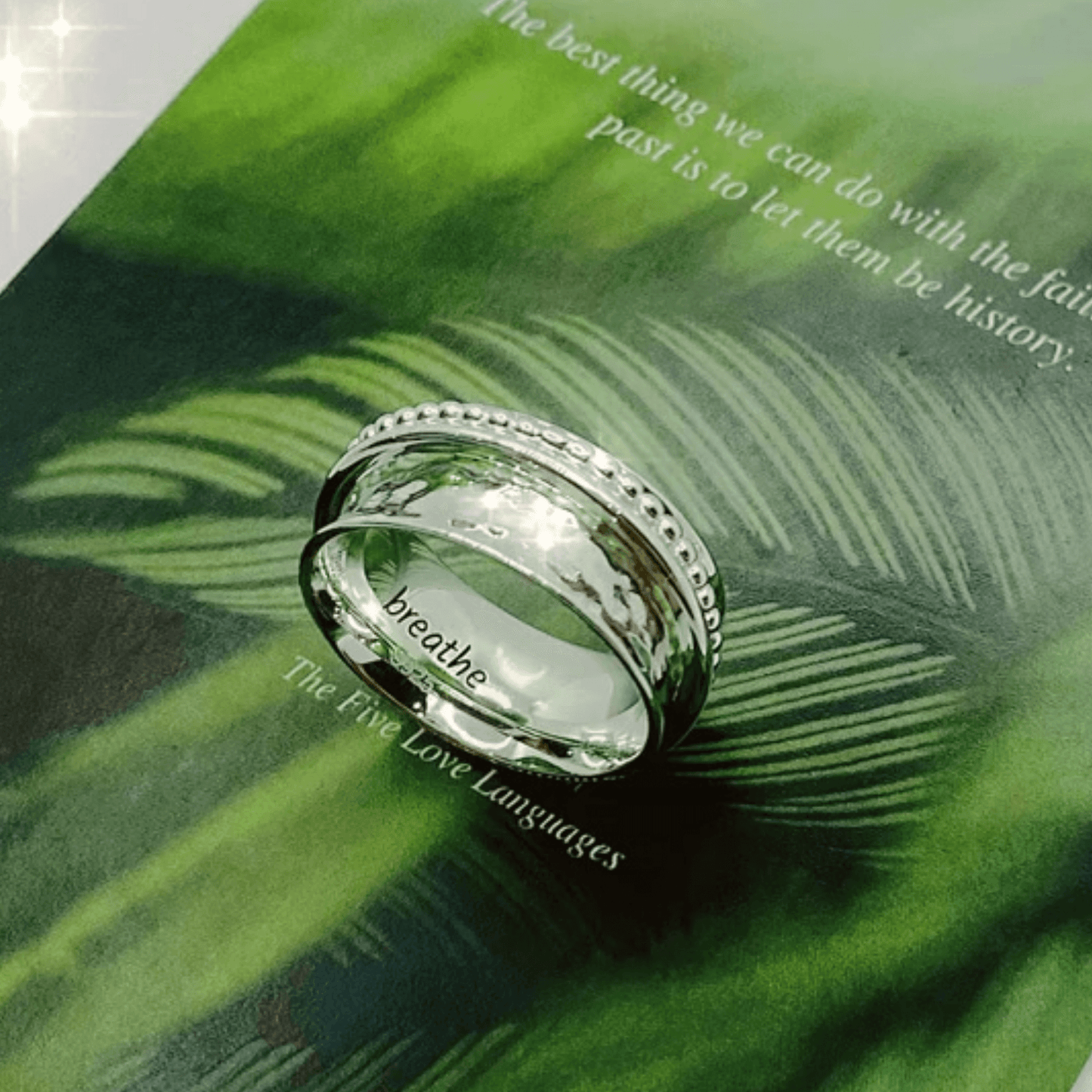 Breathe Spinner Ring in Silver