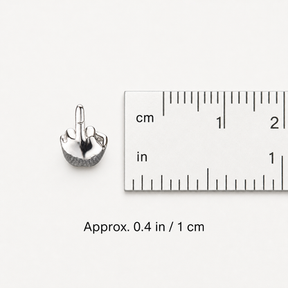 Best Middle Finger Stud Earrings - Funny Flip Off Sarcastic Unisex Earrings